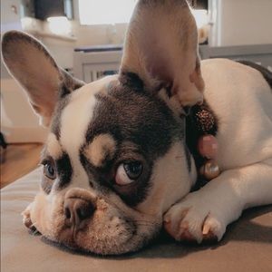 Meet your Posher, Rebecca